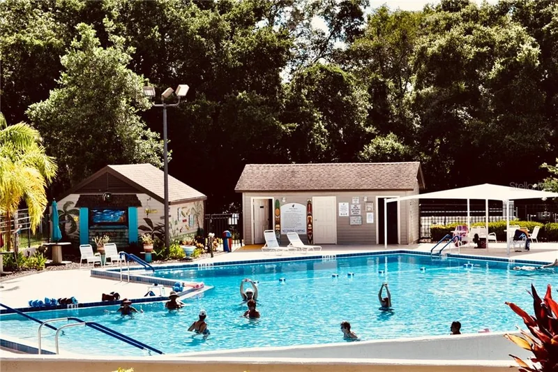 A swimming pool surrounded by palm trees at Zellwood Station
