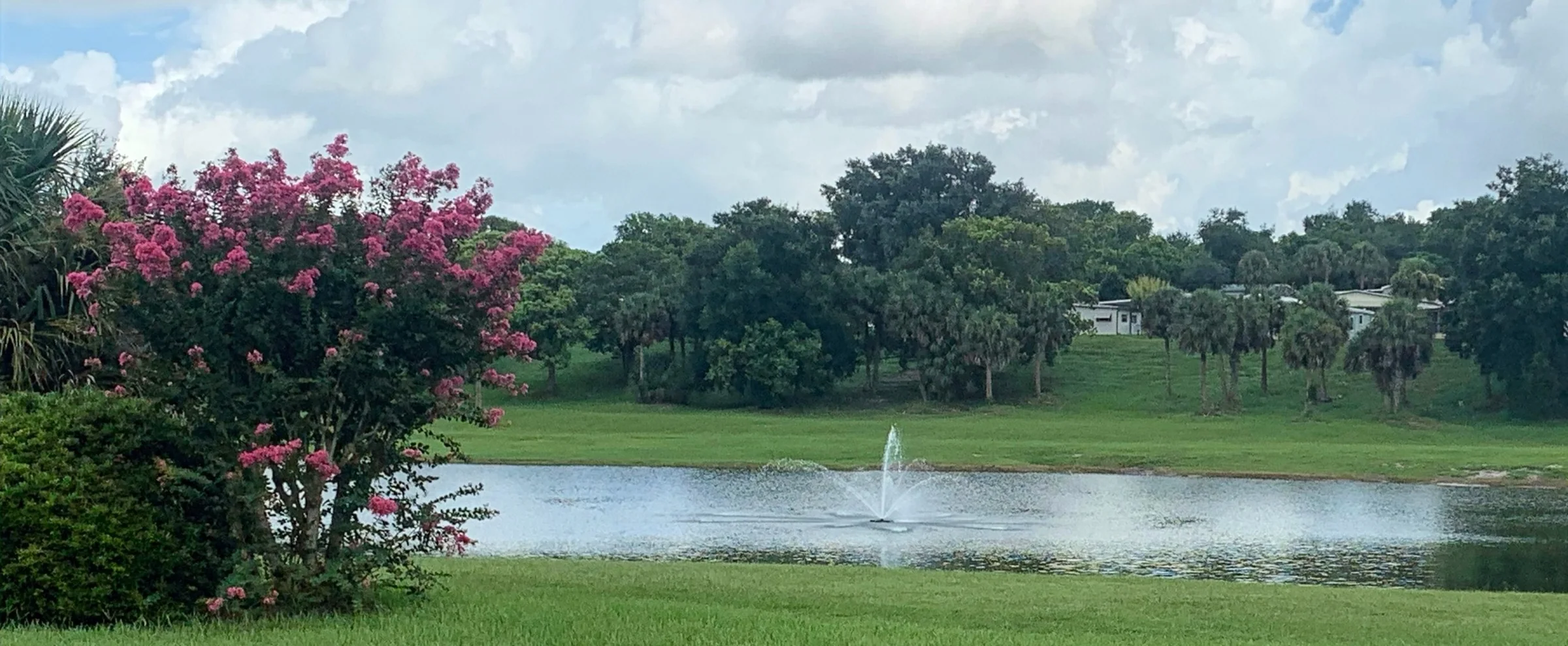 A landscaped lake with a fountain, palm trees and blooming crape myrtles on the grounds of Zellwood Station in Zellwood, Florida